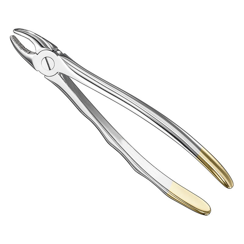 Extracting forceps, anat.