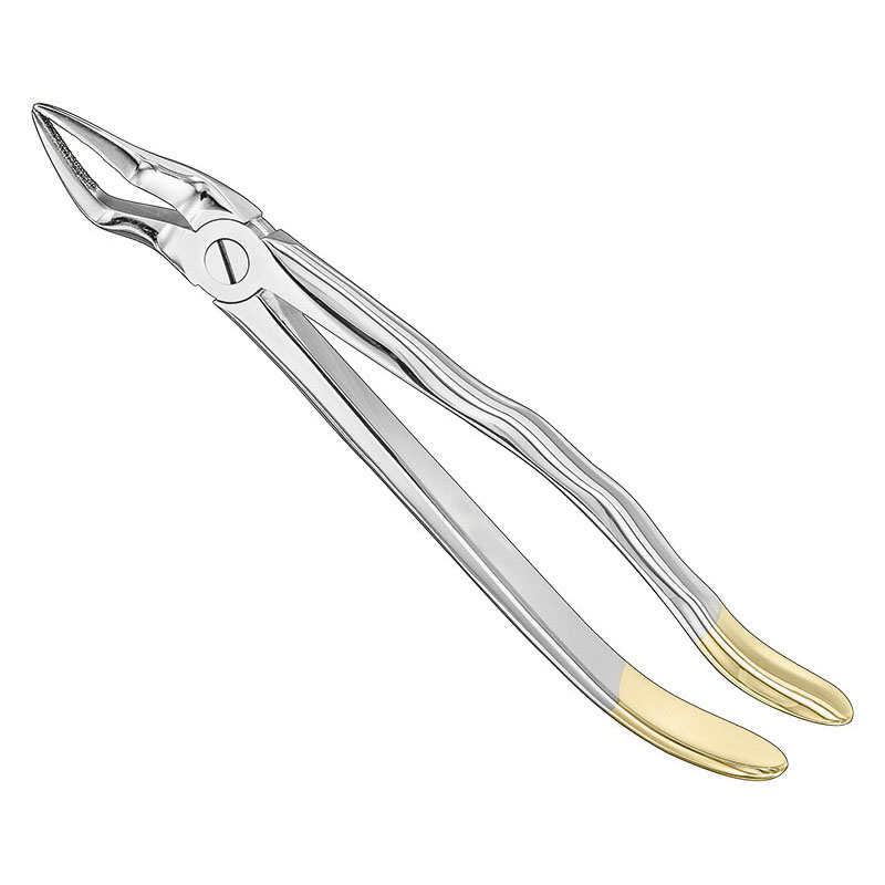Extracting forceps, anat.