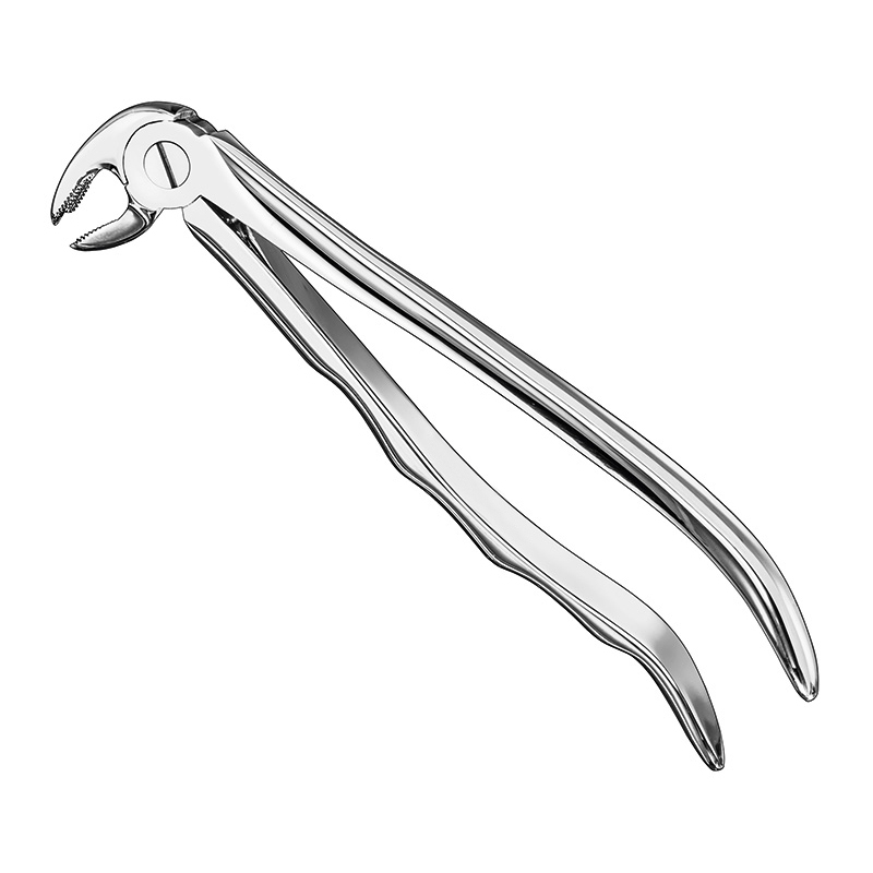 Extracting forceps, anat.