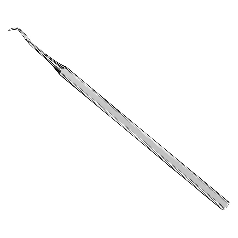 Provisional prosthesis lifter